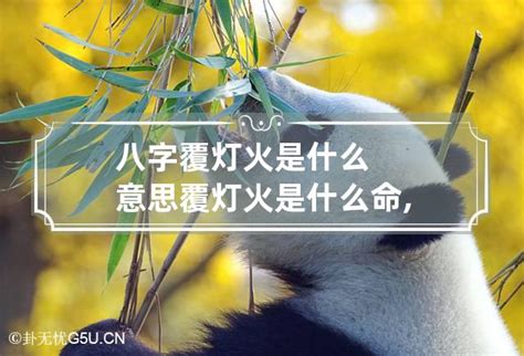 覆燈火性格|八字解析覆灯火命 – 覆灯火是什么